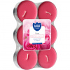 Bispol Aura Rose 6 ks