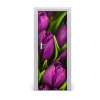 Fototapeta samolepiace fialové tulipány 75x205