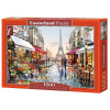 CASTORLAND Puzzle Kvetinárstvo v Paríži 1500 dielikov