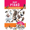 Hlasy ptáků + CD