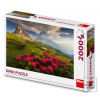 Puzzle 2000 Italské Dolo…
