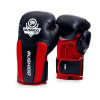 Boxerské rukavice DBX BUSHIDO DBD-B-3 12 oz 12oz.