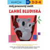 Ľahké bludiská- môj pracovný zošit (Kolektív autorov)