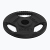 Liatinový kotúč TREXO TRX-ICP001 1,25 kg chróm