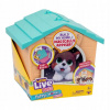 LITTLE LIVE PETS SADA MOJE ŠTENIATKO S BÚDOU
