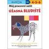 Můj pracovní sešit Úžasná bludiště - Toshihiki Karakido, Yoshiko Murakami, Masako Watanabe