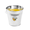 Strend Pro Citronella Bucket 510 g