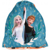 Vak na telocvik 45 x 34 cm PASO DF24VV-712 - Frozen Ľadové kráľovstvo +