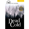 Dead Cold Leather Sue