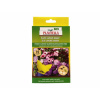 Nohel garden Desky lepové BIO PLANTELLA motýl 10ks