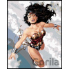 Zuty Wonder Woman letí 40 x 50 cm vypnuté plátno na rám 8596530192534