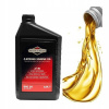 Olej do kosačky - Briggs Stratton Oil_4T + vzduchový filter 3-6 hp (Briggs Stratton Oil_4T + vzduchový filter 3-6 hp)