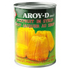 Chlebovník (jackfruit) v sirupe s hmotnosťou 0,565 kg