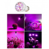 HIBRIGHT PROFI LED žiarovka pre všetky rastliny 6W, E27, High-power+, fialová