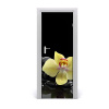 Fototapeta samolepiace Orchidea a kamene 75x205