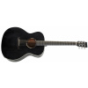 TANGLEWOOD TWBB OE