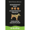 E-kniha Náboženský kult starověkého Izraele pohledem archeologie - David Rafael Moulis