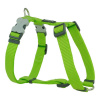 Postroj pre psa Red Dingo hladký 37-61 cm Lime