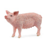 Schleich 13933 Zvieratko – prasa 4059433358260