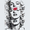 Vymalujsisam.sk Maľovanie podľa čísiel - Marilyn Monroe pery Veľkosť: 50x50cm, Rám: Bez rámu, iba zrolované plátno