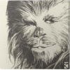 Obraz na plátne Star Wars - Chewbacca, 2 - 30×30 cm