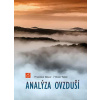 Analýza ovzduší - František Skácel, Viktor Tekáč