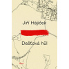 Dešťová hůl