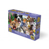 PRIME 3D puzzle Selfie kamaráti z dvora 100 ks