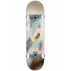 Skate komplet Globe G1 Stack daydream 2021/22 Velikost: 8.25