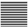 vidaXL Zebra roleta čierna 160x100 cm šírka látky 155,9cm polyester 4014221