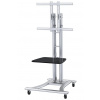 NewStar Mobile Flatscreen Floor Stand - (height: 80-180 cm) PLASMA-M1800E
