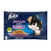 Felix Junior Fantastic kapsičky 4 x 85 g - losos a kuracie