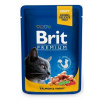 Brit Premium Cat kapsička s lososom a pstruhom 100g