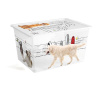KIS C Box Colours Arty XL, 50l