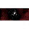 Panoramatická fototapeta - PA4412 - Catwoman 250cm x 104cm - Vliesová fototapeta