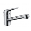 Hansgrohe Focus 71809000