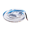 LED pásik, 12 V, 12 W, studená biela, 1212652
