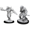 Dungeons & Dragons Nolzur's Marvelous Miniatures - Male Dragonborn Paladin 2-pack, 4 cm