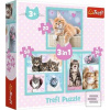 Puzzle Sladká koťátka 3v…