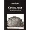 Čaroděj Jackl/ Magické vystřihovánky - Veselý Josef