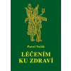 Léčením ku zdraví - Pavel Vašík