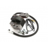 Zapaľovacia cievka pre kosačku - Briggs Stratton 450 500 550 591420 Zapaľovacia cievka (Briggs Stratton 450 500 550 591420 Zapaľovacia cievka)