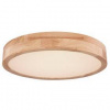 LED stropné svietidlo GLOBO 41745-24