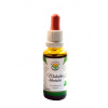 Salvia Paradise Meduňka lékařská AF tinktura 30 ml