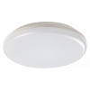 Rabalux 98007979 LED vonkajšie stropné svietidlo Eric 1x24W | 4000K | IP64 Rábalux 7979