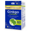 GS Ginkgo 60 mg s horčíkom 2024 120 tabliet