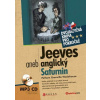 Jeeves aneb anglický Saturnin