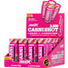 CarniShot 3000 - 20x 60 ml, mango - Amix