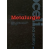 Metalurgie oceli na odlitky - Zdeněk Bůžek