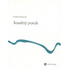 Soudný potok - Radek Štěpánek